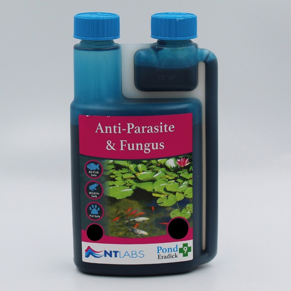 NT Labs AntiParasite & Fungus Fungal Infection Treatment Sick Fish Koi Goldfish eBay