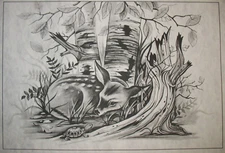 * TRI CHEM ND NO DIRECTIONS FAWN TURTLE  Picture TRICHEM