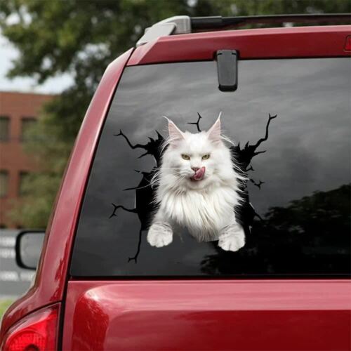 Autocollant voiture chat blanc Maine Coon, joli autocollant vinyle, décoration de voiture, drôle de chat - Photo 1 sur 1