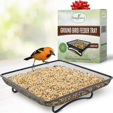 Large Metal Bird  Squirrel Feeder Tray 11x11" Outdoor Platform New