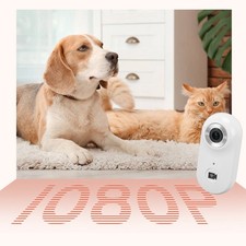 Pet Collar Camera 1080P HD 2.4G Wireless Dog Cat Wearable Video Recorder Lo OXEM
