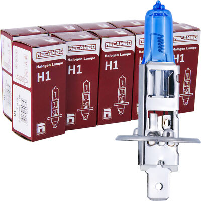 10 x LIMA H1 24V Xenon Look LKW 70W Halogen Lampe SUPER WEISS Werkstatt Angebot
