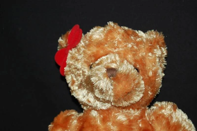 Disney Oso de Peluche Gira de Hielo Escuela Secundaria Musical Bandera Arco Rojo Peluche 12" Juguete Lovey Foto 2 de 4