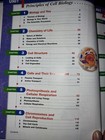 Afbeelding 11 van 13