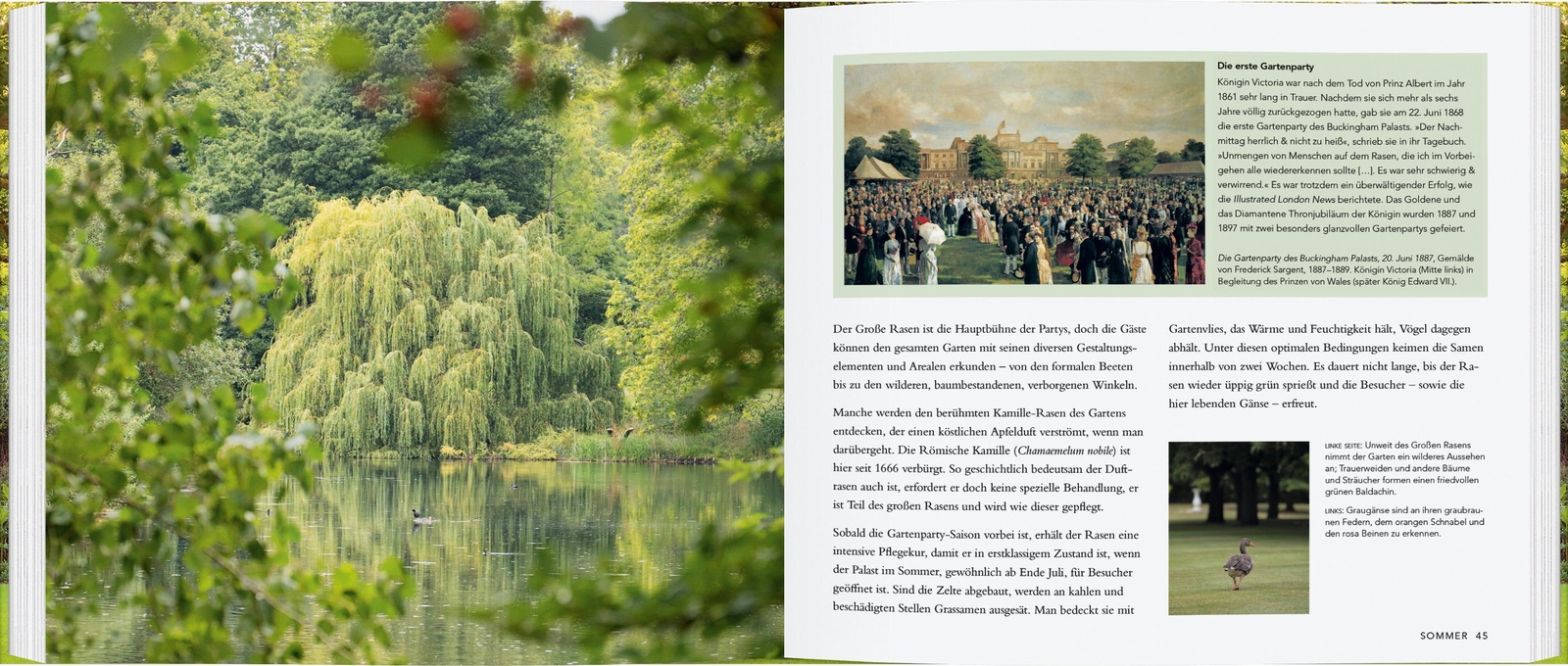 Thumbnail - Buckingham Palast | Claire Masset | Der Königliche Garten | Buch | 120