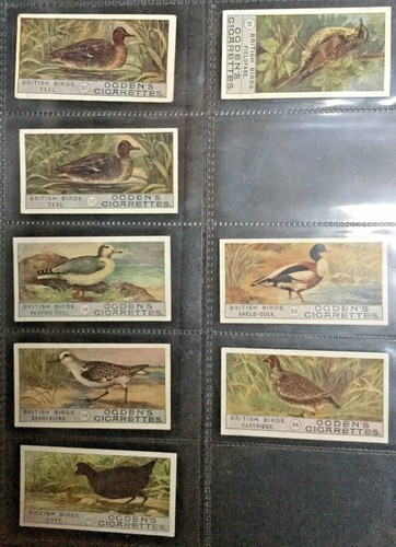 Cartes à cigarettes British Birds 2ème série 44 de 50 cartes jeu Ogden's ancien 1906 - Photo 2/12