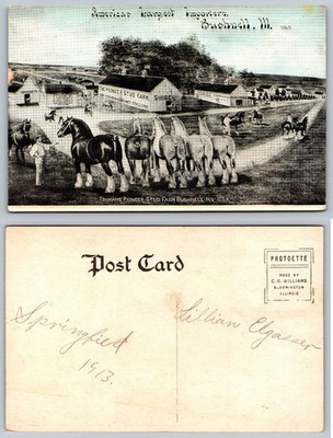 Trumans' Pioneer Stud Farm Bushnell Illinois 1913 Postcard Heavy Draft Horses