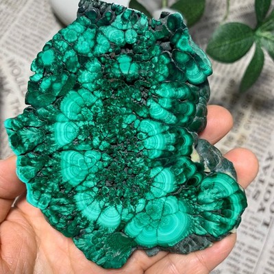 212G Top Natural Polyocular Malachite Quartz Crystal Gloss Mineral Specimen