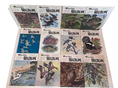 12 ISSUES 1972 Florida Wildlife Magazine LOT Hunting Fishing Birds COMPLETE YEAR