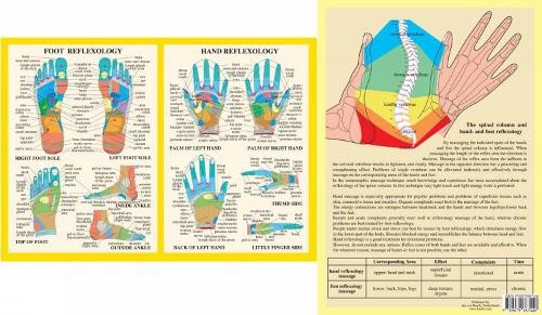 Hand & Foot Reflexology -- A4 by Jan van Baarle (Poster) - Image 2