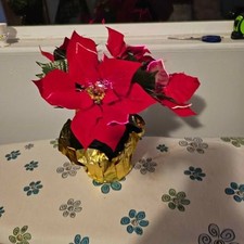 Fiber Optic Lighted Poinsettia Bouquet wPot wOriginal Box Christmas Plant Flower