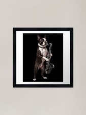 Boston Terrier Playing Bass Clarine Framed Wall Art Poster Canvas Print Picture