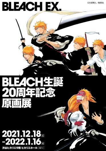 BLEACH EX.03 Official Limited Art Framed Paintings Reproduction