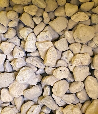 Genuine Japanese Hyuga Pumice for Orchid & Bonsai Tree Soil - Medium Grain