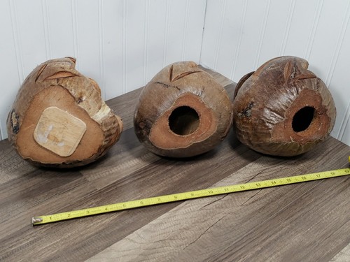 (4) Tiki Bar Coconut Monkeys Hear, See and Speak no evil and pipe smokin Monkey - Bild 7 von 14