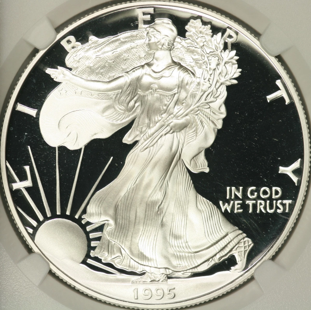 American Eagle 1995 U.S. Mint Silver Bullion Coins for sale | eBay