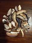 HAWAIIAN SEA SHELLS tiger cowrie halves & pieces  — photo 2