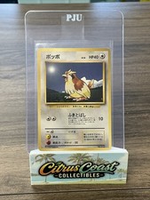 Pokémon TCG Pidgey Japanese Base Set No Rarity