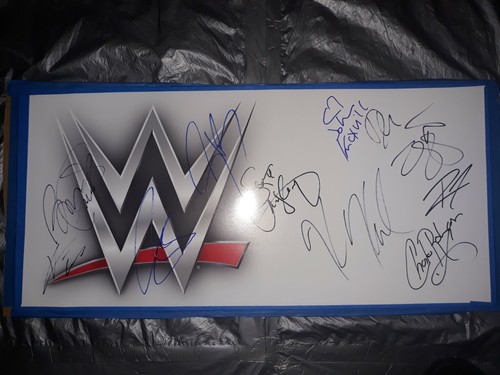 WWE Signed 24x12: Johnny Knoxville Ziggler Ricochet Sheamus McIntyre 10 total! - Picture 2 of 4