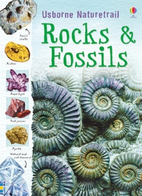 Rocks and Fossils by Struan Reid (Paperback Book)