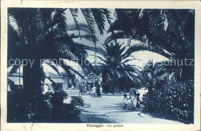 Viareggio Le palme