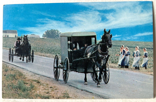 Pennsylvania Dutch Country Amish Buggy & Women VTG Chrome Postcard UNP - A4