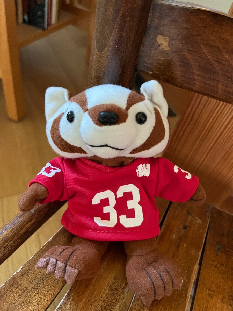 Stadium Sports Small Cute University of Wisconsin Madison BUCKY BADGER  Plush w - Main Image