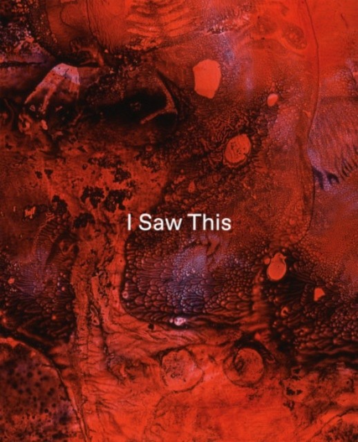 Tom de Freston – I Saw This by Habda Rashid (Paperback Book) - Image 2