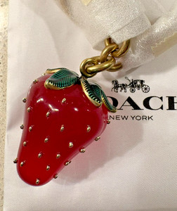 Coach Strawberry Keychain | eBay