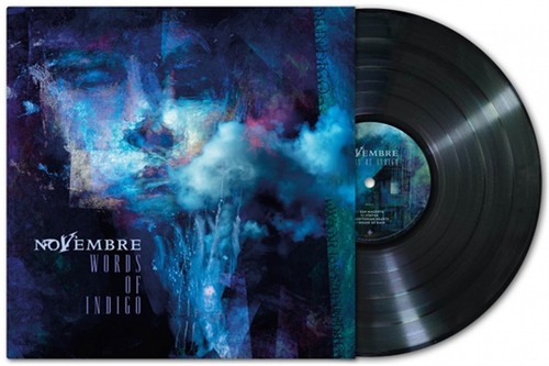 Words Of Indigo - Novembre (Vinile) prezzo ebay