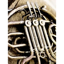 Music Photography Instrument Brass French Horn Tubes Pipes 12X16 Framed Print