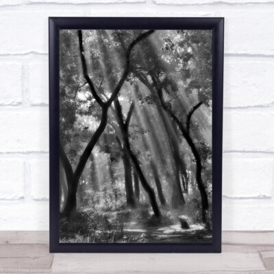 Verzauberter Wald Sonnenstrahlen Natur Nepal Chitwan Lichtstrahlen Wandkunstdruck