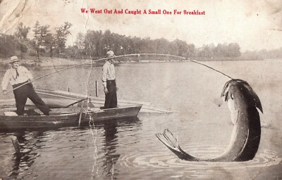 Fishing - We went out and Caught a Small One Catfish Humor Postcard 1914