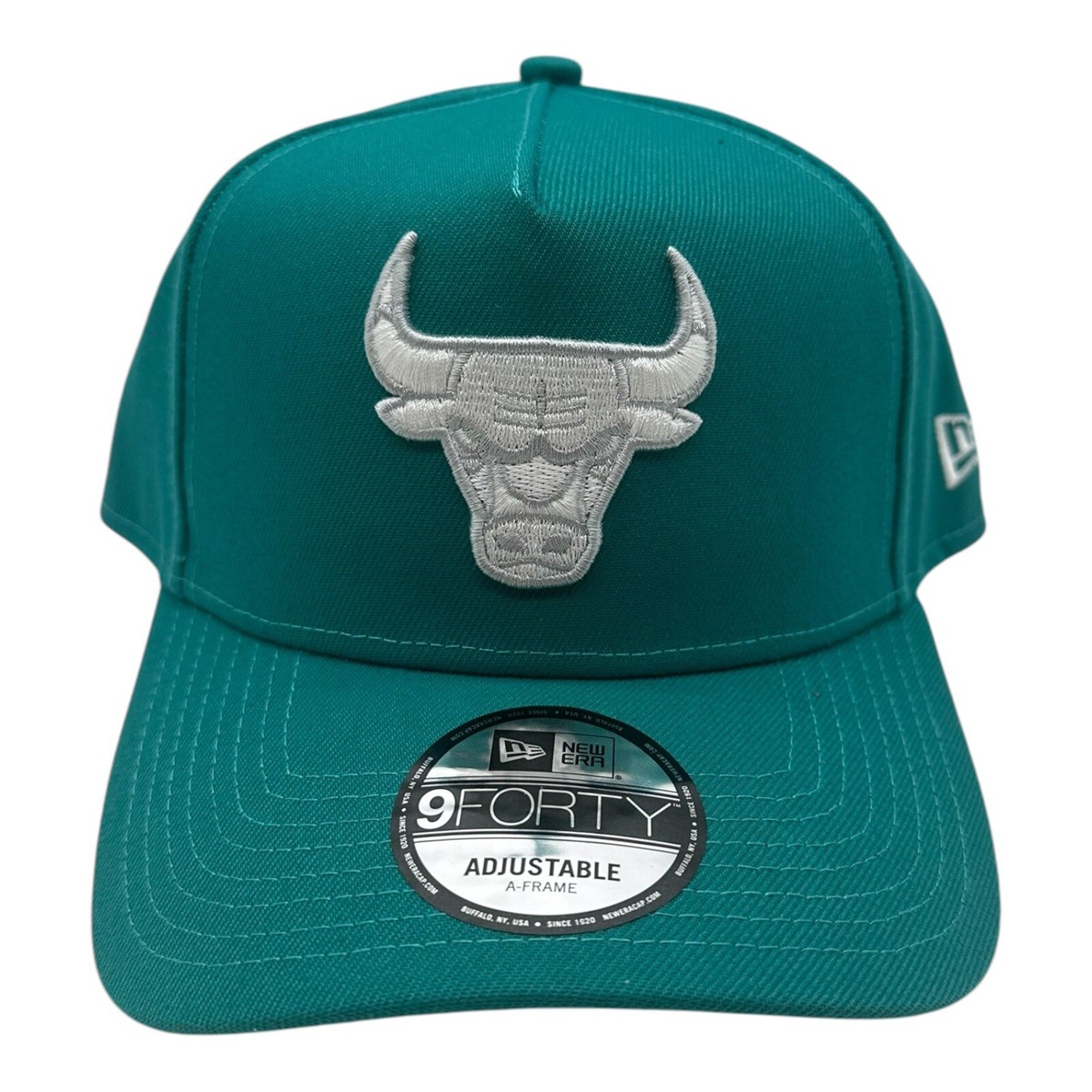 帽子 AILEEN only ,NBA Chicago bulls Billie Eilish Chicago Bulls Mitchell & Ness Custom Snapback Hat (1