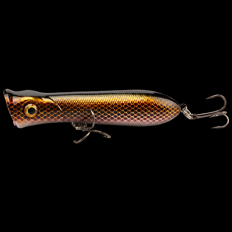 10x TopWater Poppers Fishing Lures Bass Hard Baits Swimbait Freshwater Saltwater - Image 8