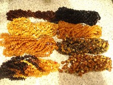 Lot 10 RAW GENUINE BALTIC AMBER NECKLACES 13 inch - Choose your color !!!