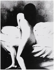 Daisuke YOKOTA / Tartine Signed 2015