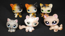 Hasbro Littlest Pet shop Lot of 6 - Rare Various Cats Authentic FREE SHIPPING 