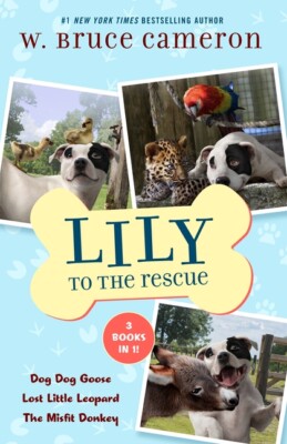 Lily To The Rescue Bind-Up Books 4-6: Dog Dog Goose, Lost Little Leopard, A...