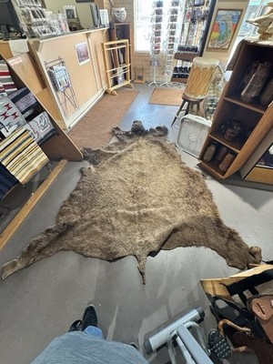 American Bison Buffalo Hide Rug Summer Coat 86  Hair On Tanned Full Hide Decor