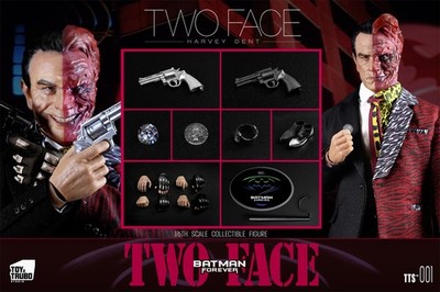 ToyzTruboStudio tts-001 1/6 Two Faced Person Bruce Wayne Action Figure