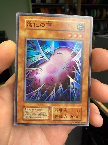 Cocoon of Evolution YuGiOh Japanese Vol.4 card