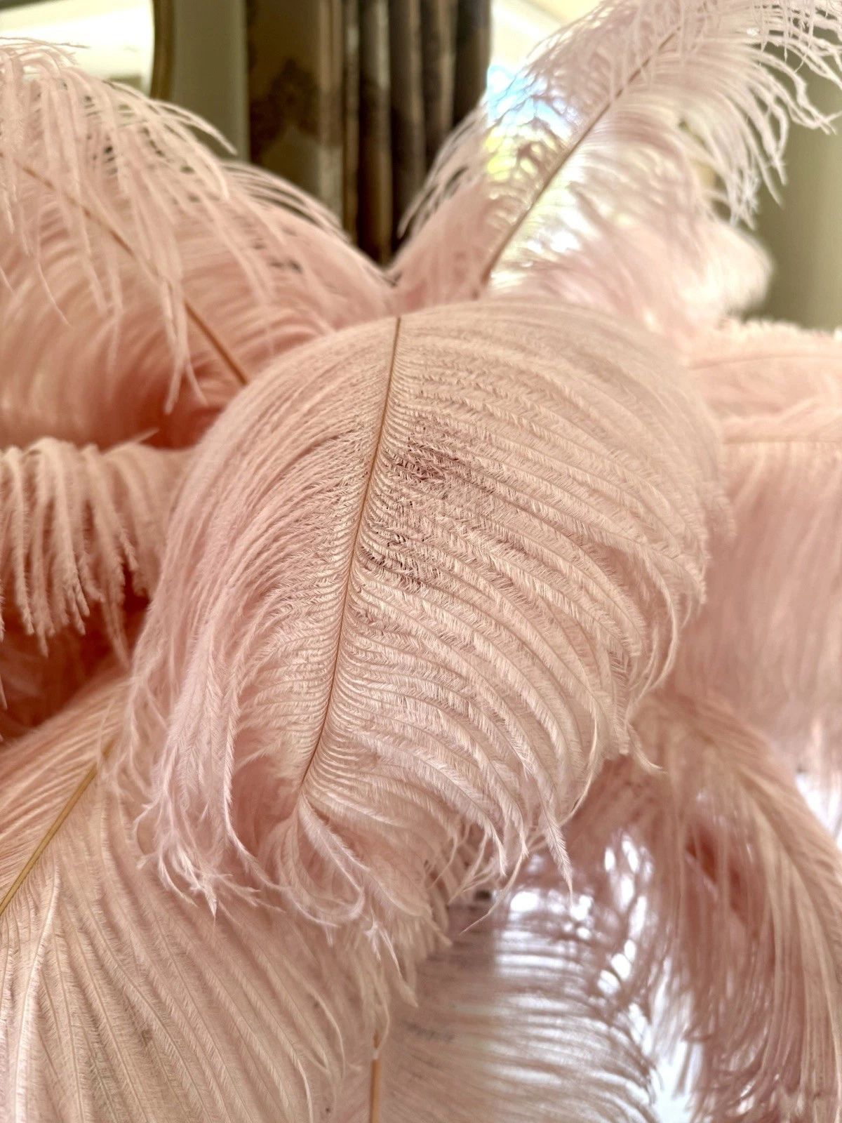 Gallery image 12 for Ostrich Feather Burlesque Floor Lamp With Brass Stand RRP £1,276
