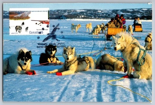 Canada 1995 The Arctic Dogsleds FDC Maxi Card
