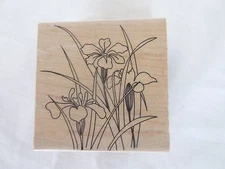 Iris Flowers Rubber Stamp by Fit To Fold FTF-3
