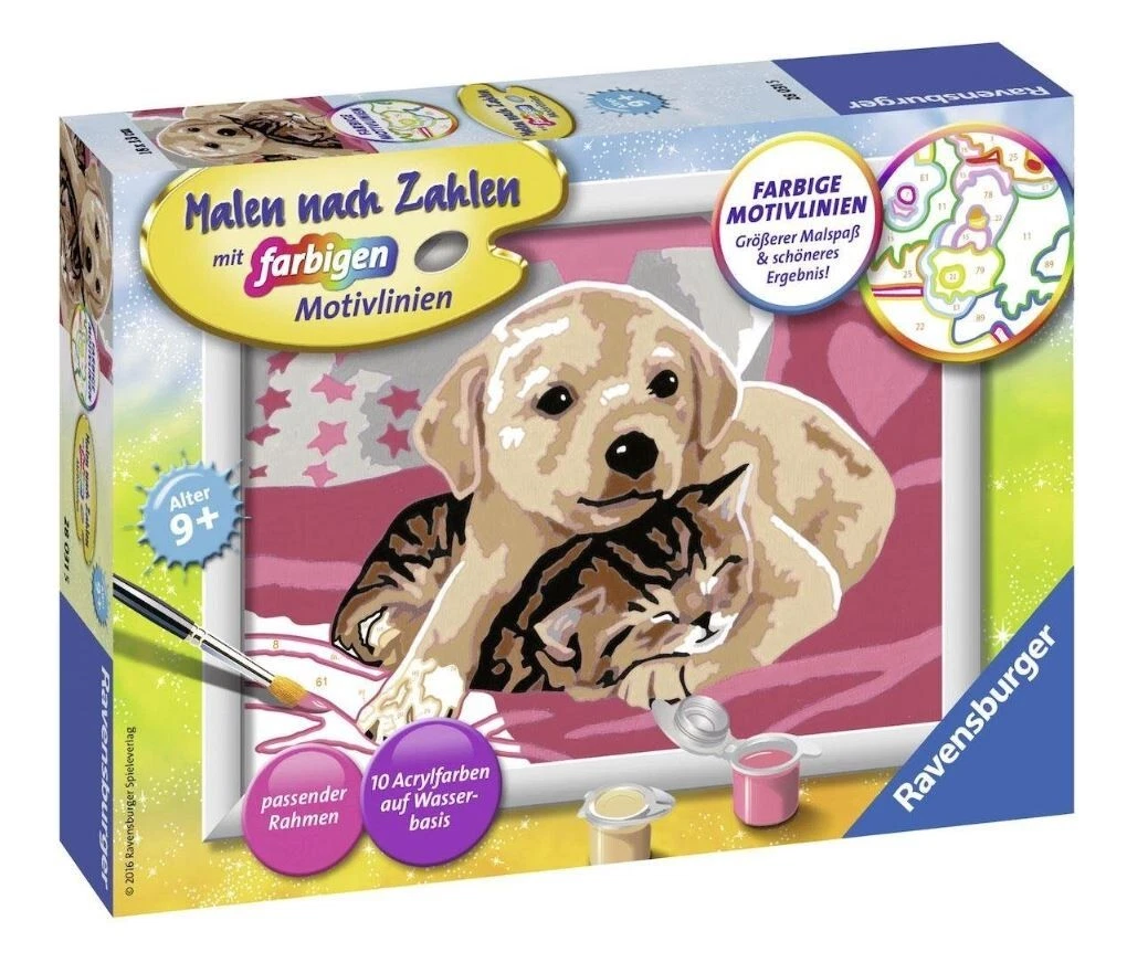 Bild 6 von 6