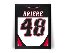 DANIEL BRIERE Buffalo Sabres comparable Hockey Photo Picture 8x10 11x14 16x20 JZ