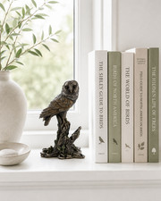 Owl Statue for Home Decor – Bird Sculpture for Bookshelf, Window Sill & Nature
