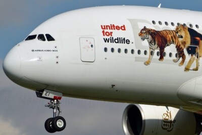 NEW GEMINI JETS 1:200 scale EMIRATES AIRBUS A380-800 UNITED FOR WILDLIFE LIVERY!