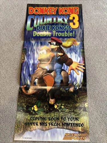 Vintage Donkey Kong Country 3 Poster - 1995 Nintendo